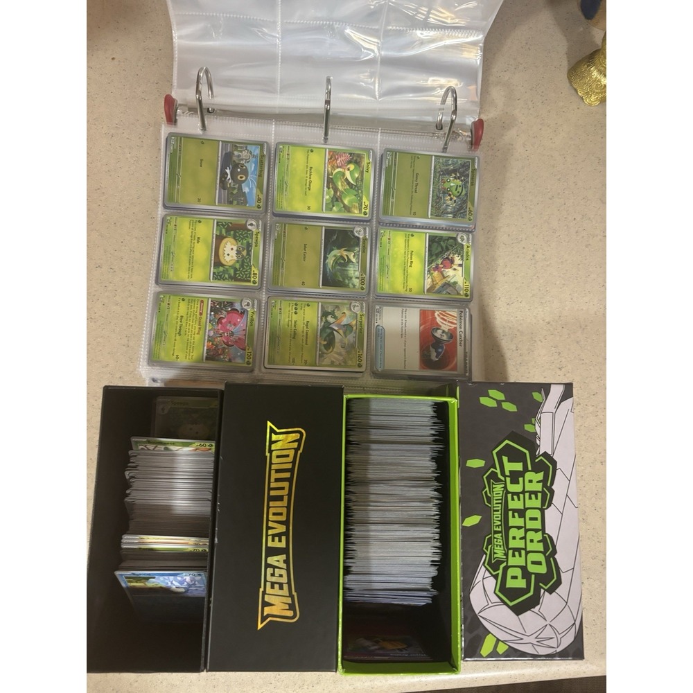 Pokemon TCG Card Lot Mixed Sets Collection with Binder & Storage Boxes